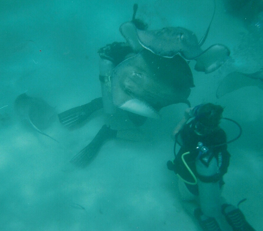 Diving in Stingray City!