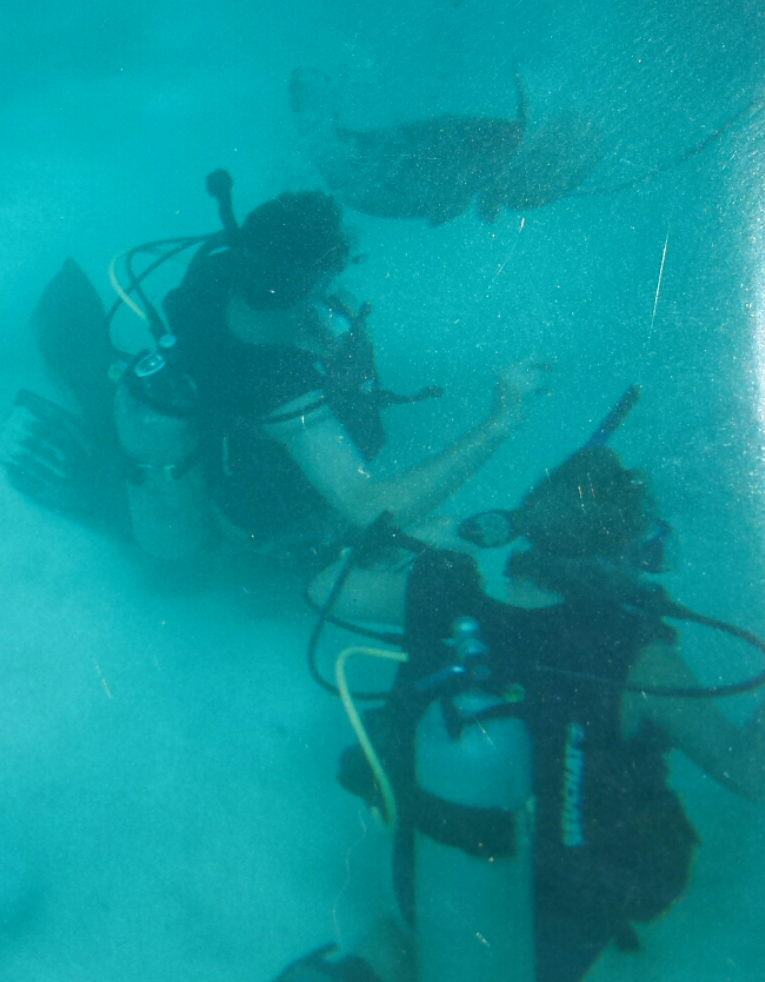 Scuba divers and a stingray