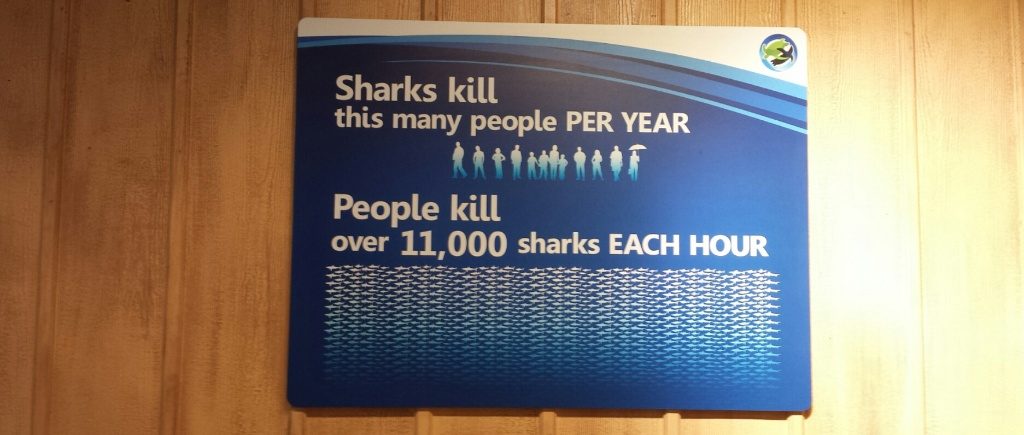 Sharks.