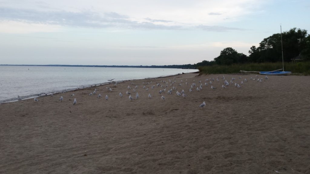 There are beaches in Ohio.