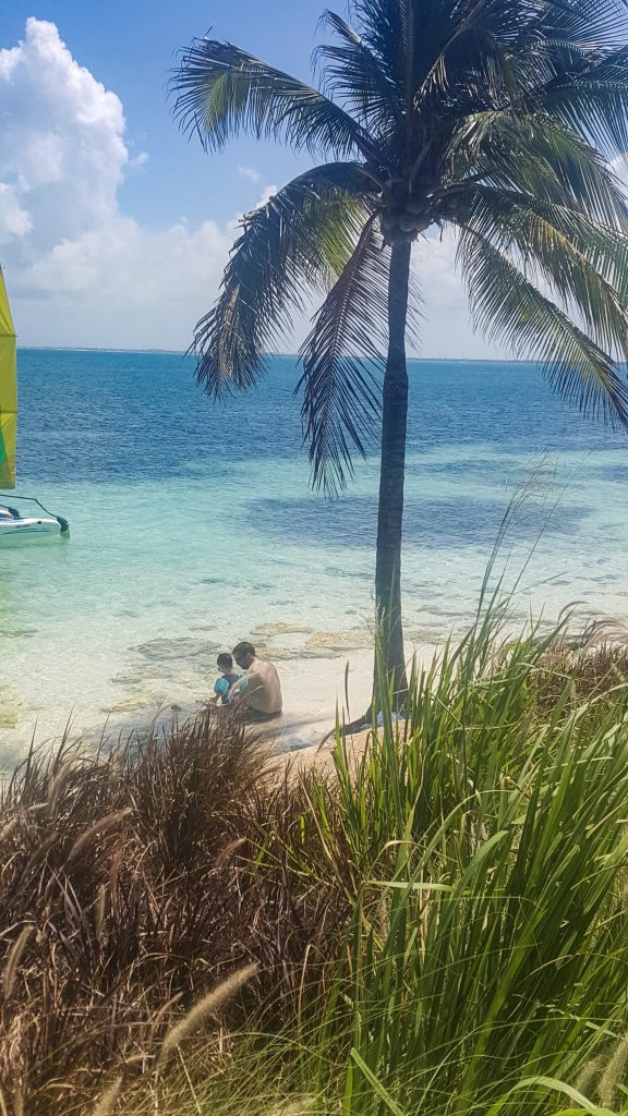 a child and her father, seen through tall grass and a palm tree, enjoying the beach at Club Med.