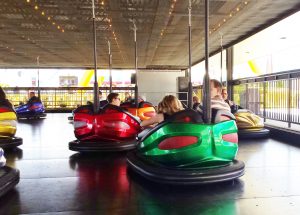 Cedar Point bumper cars