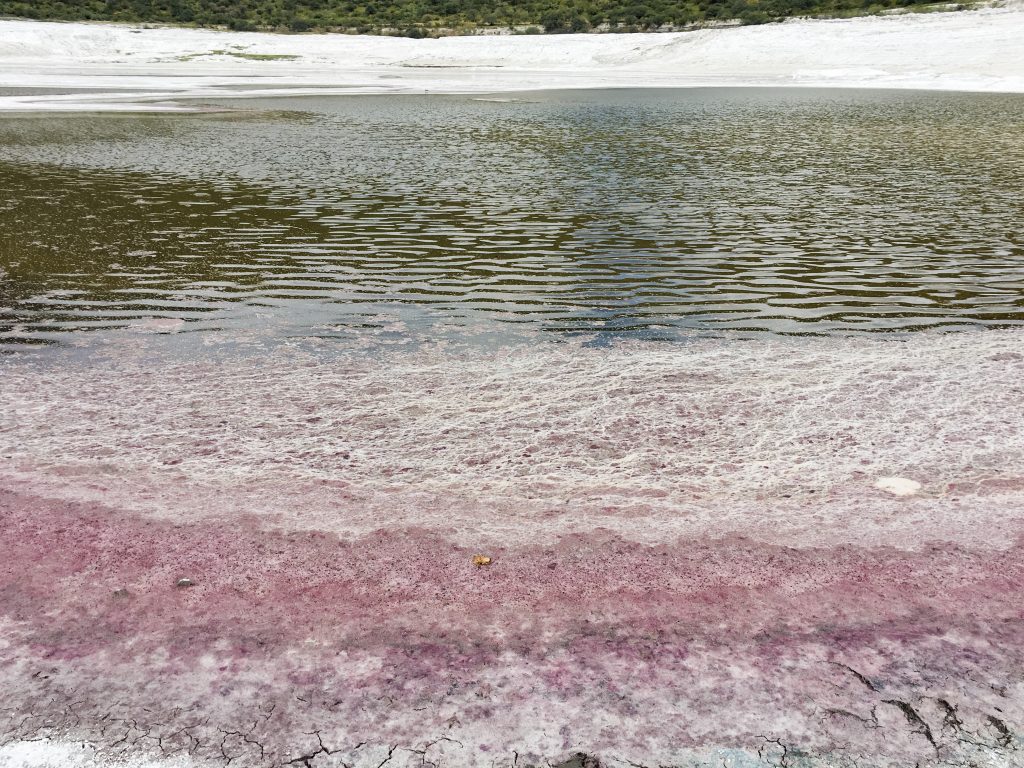 The pink water around the edge of the crater's lake