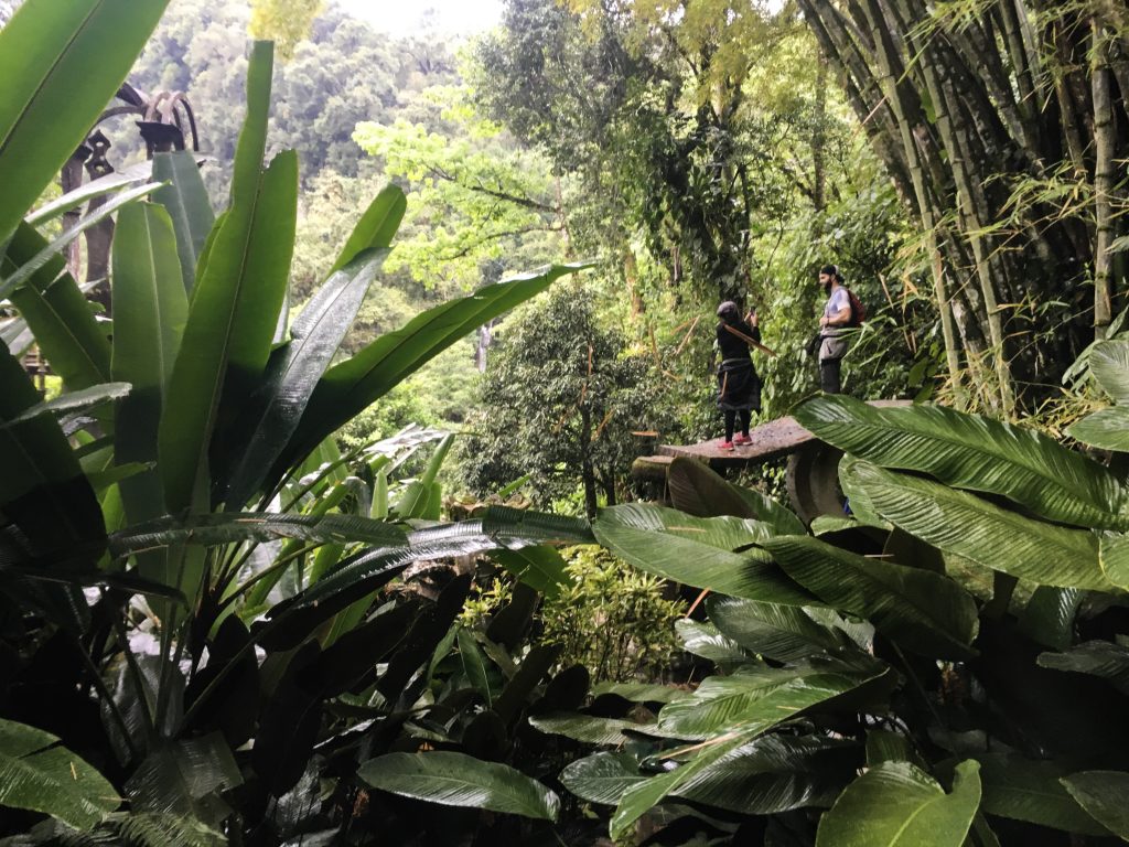 people standing on a cement platform in the middle of the jungle.