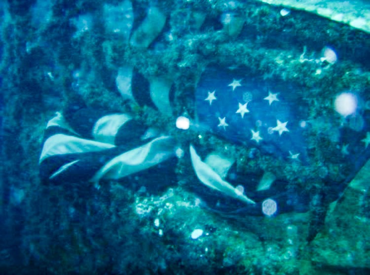 A flag underwater underneath a ship's railing. The picture is bluish.