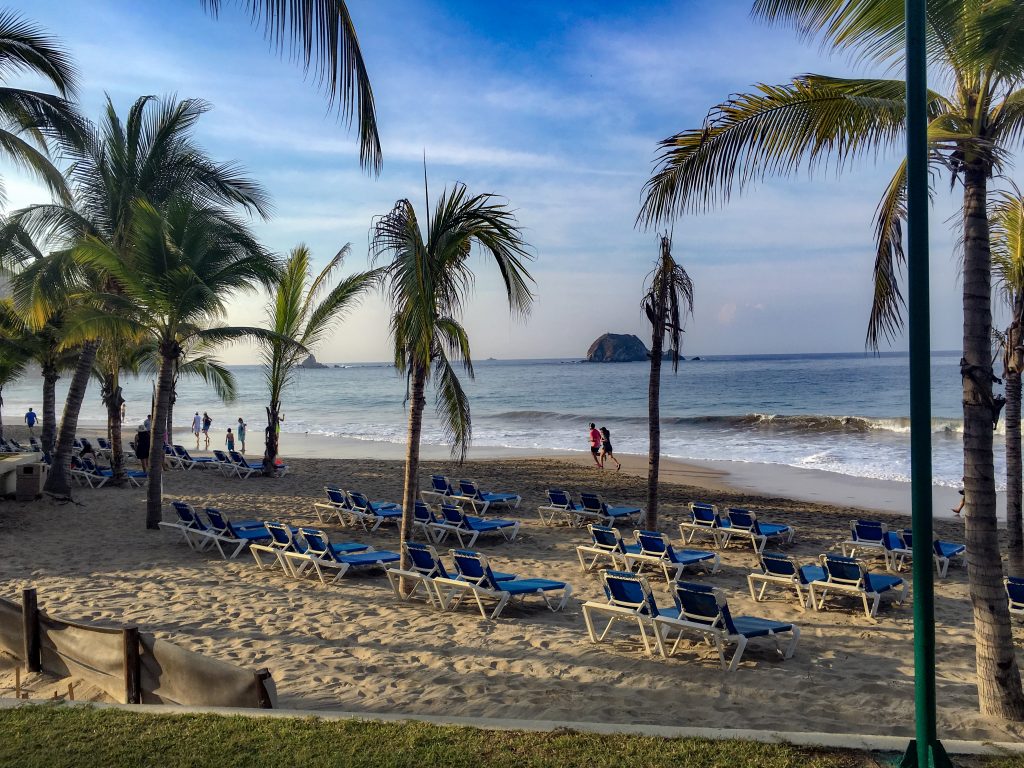 Another beach view that includes palm trees, a lot of sand, and the beach in the background. In the bottom left foreground, there are posts and canvas making a "fence." This area is protecting turtle nests.