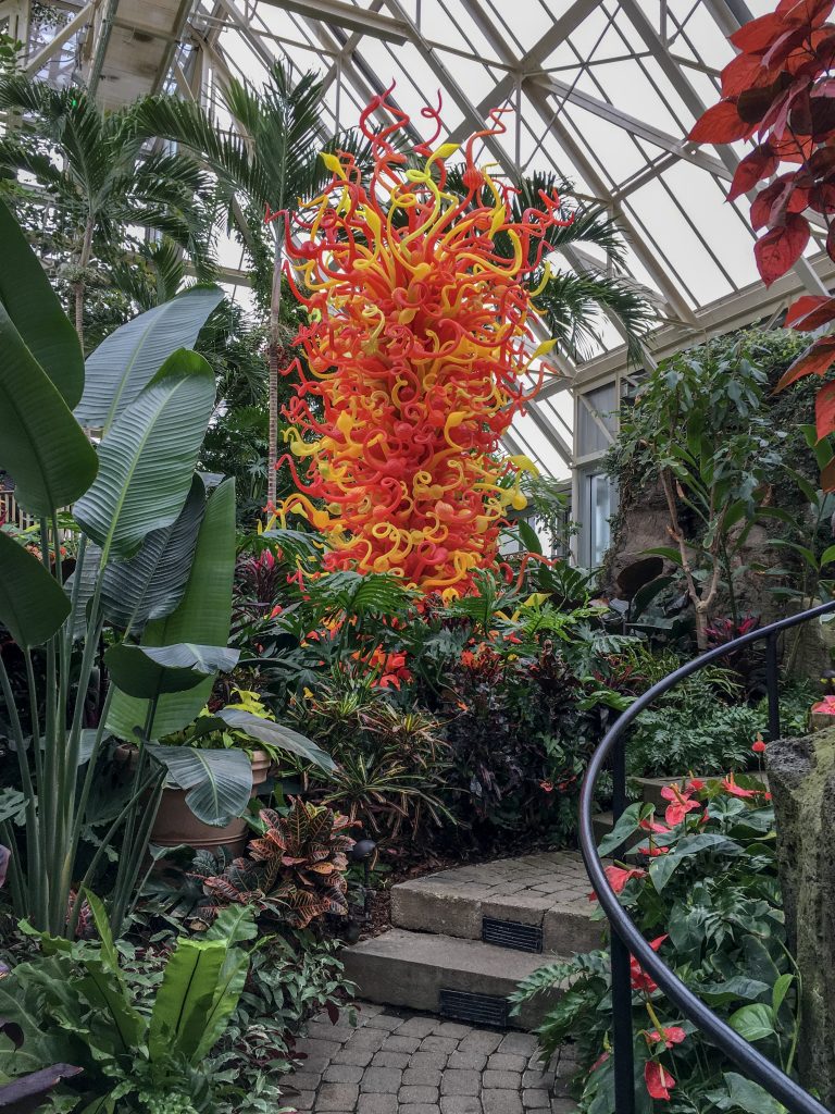 Orange, red, and yellow squigly glass statue, in the middle of the lush jungle room at the Columbus, Ohio botanical garden