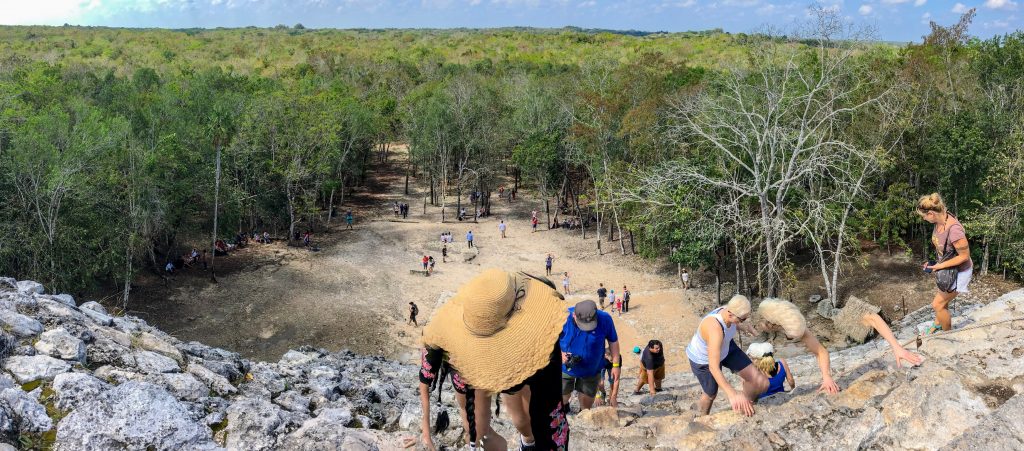 Panoramic view from the top of the Coba pyramid. You can see climbers climbing up in the foreground, the cleared part directly in front of the pyramid, and the green treeline in the background.