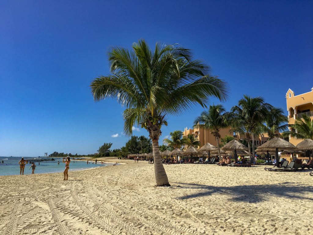 A few people are on the beach, which extends from foreground to background. A lone palm tree is front an center, with palapa umbrellas and the yellow resort are to the right. If you're looking for the best family all inclusive Mexico, this is one of them!