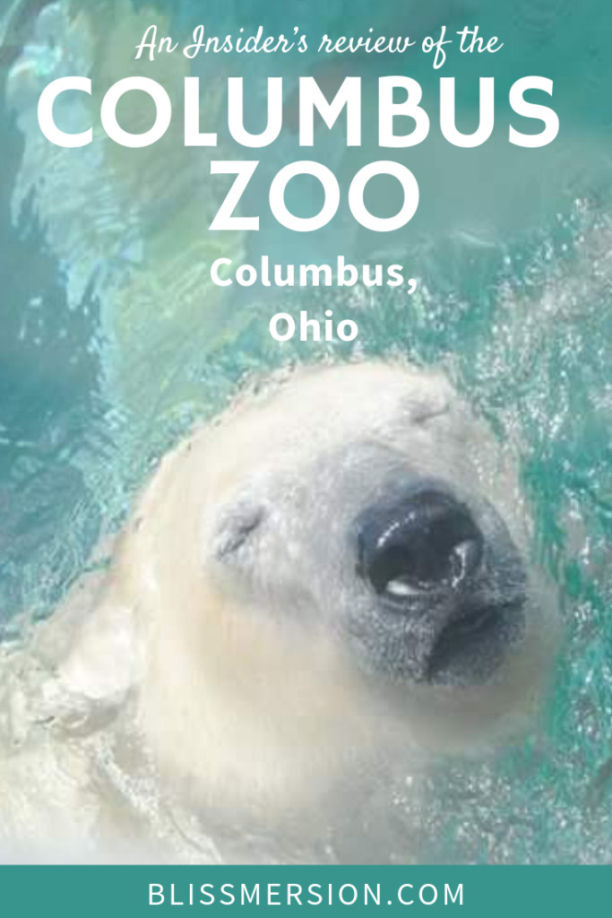 This Columbus Zoo review will help you have a great time at the Columbus Zoo in Columbus, Ohio. Come to the zoo and see lions, cheetahs, kangaroos, and feed giraffes (weather depending).