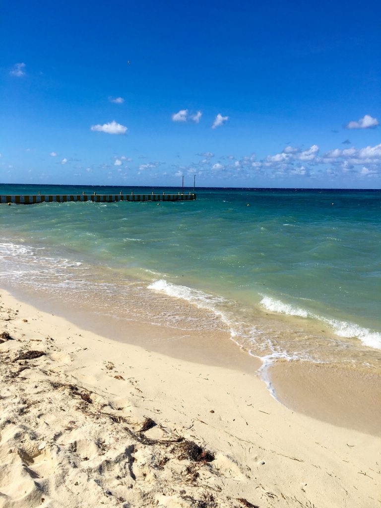 The bottom quarter, concentrated on the left, is the sandy beach. The blue green ocean water extends beyond. In the distance, there is a pier stretching into the water.