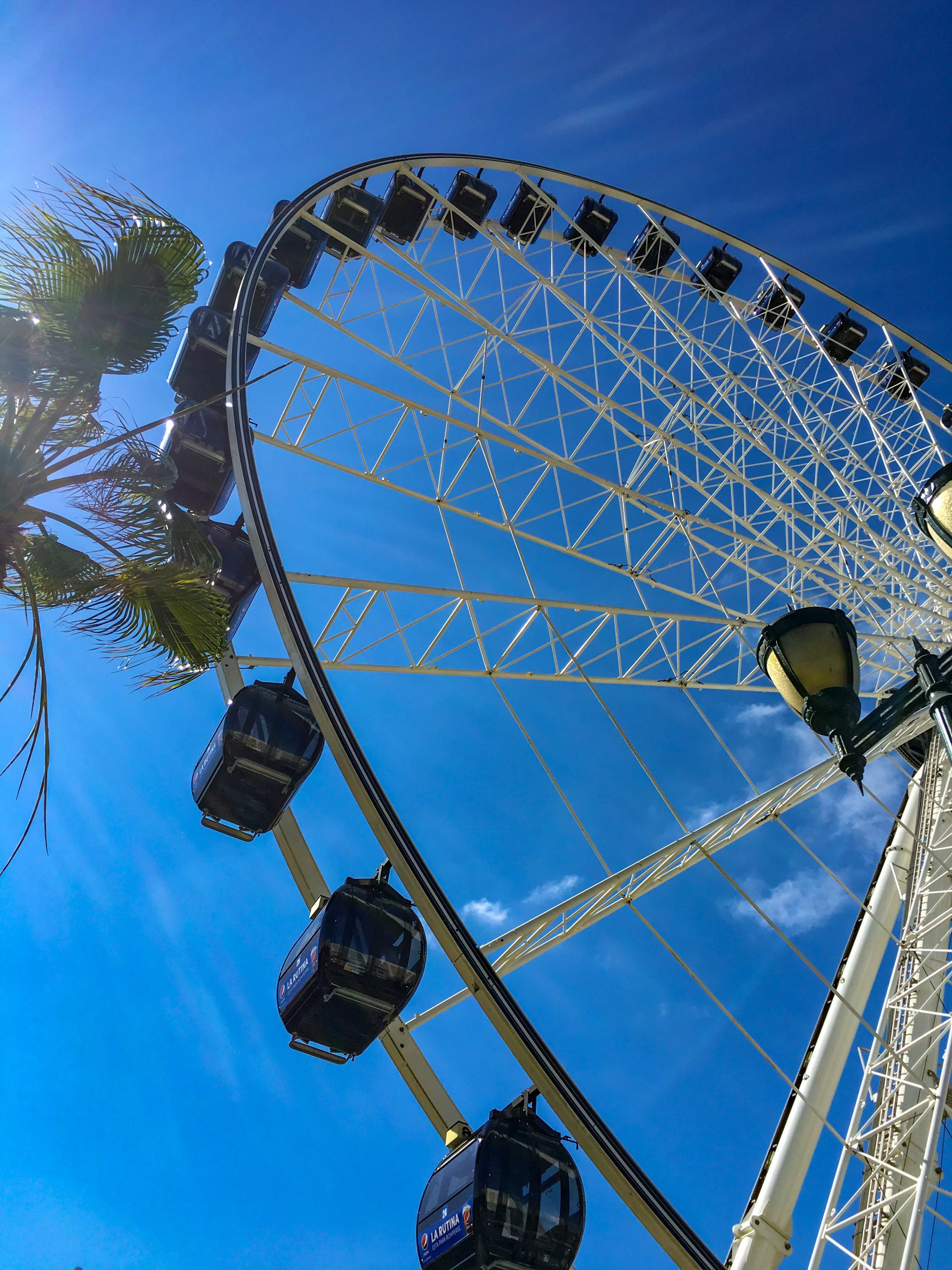 A Ferris wheel with only sky behind it.