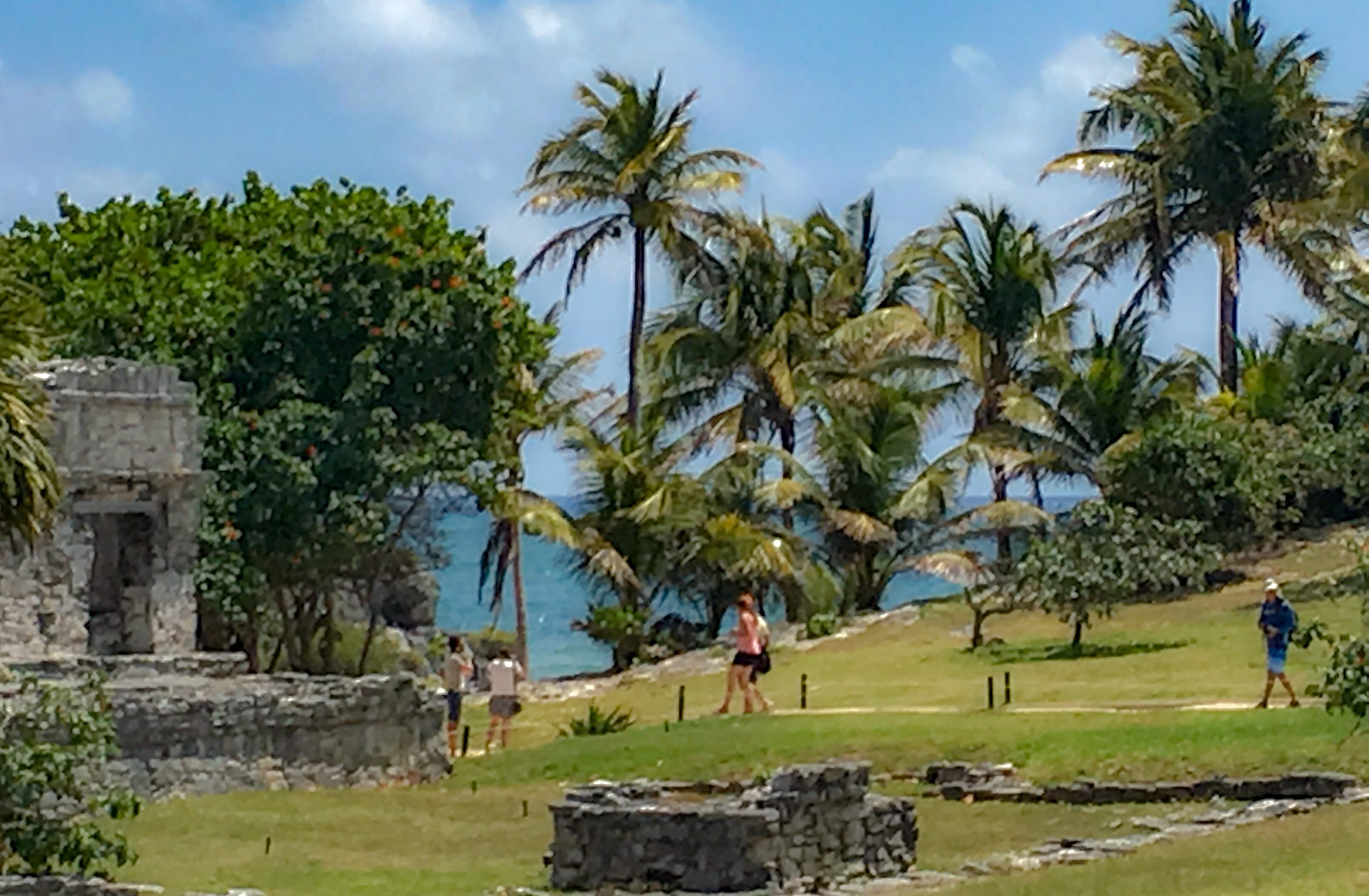 A view of the Maya Ruins of Tulum, with palm trees. Behind them, blue ocean and blue sky.