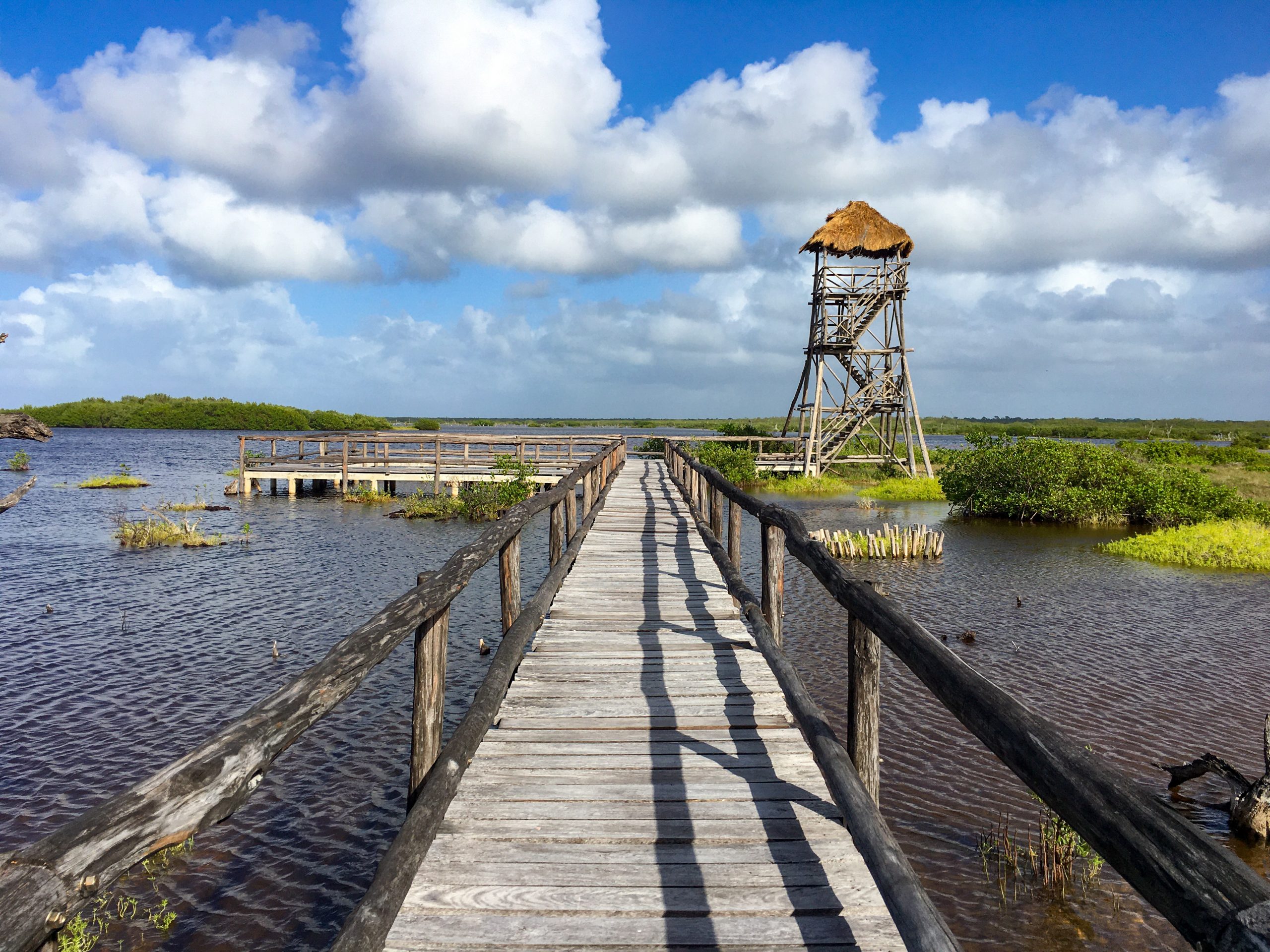 Punta Sur crocodile lagoon viewing platform, boardwalk, and tower.