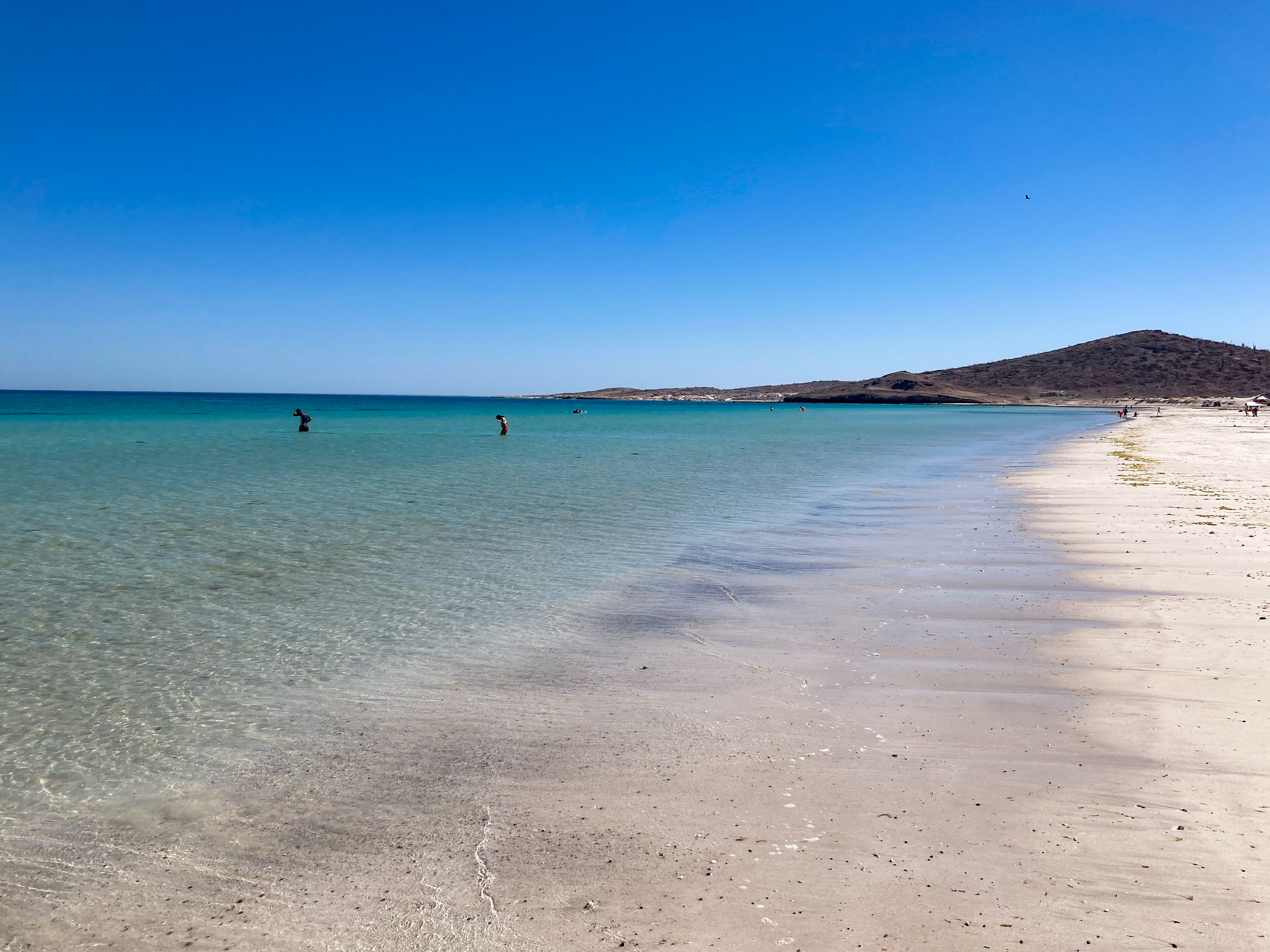 One of the best beaches in la paz mexico? on the left, the many turqoise shades of the ocean. A mountain is in the background on the right. The sand is on the right and a line crosses diagonly from back right to front left where the ocean meets the sand.