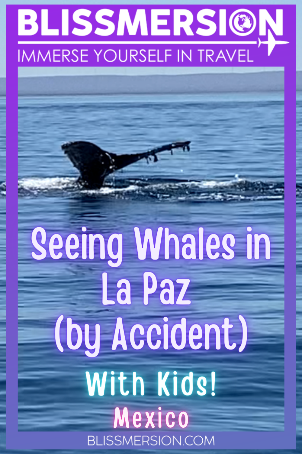 Pinterest image: Seeing whales in Laz Paz, by Accident (with kids). A purple frame with the photo inside of a whale's tail out of the blue ocean.