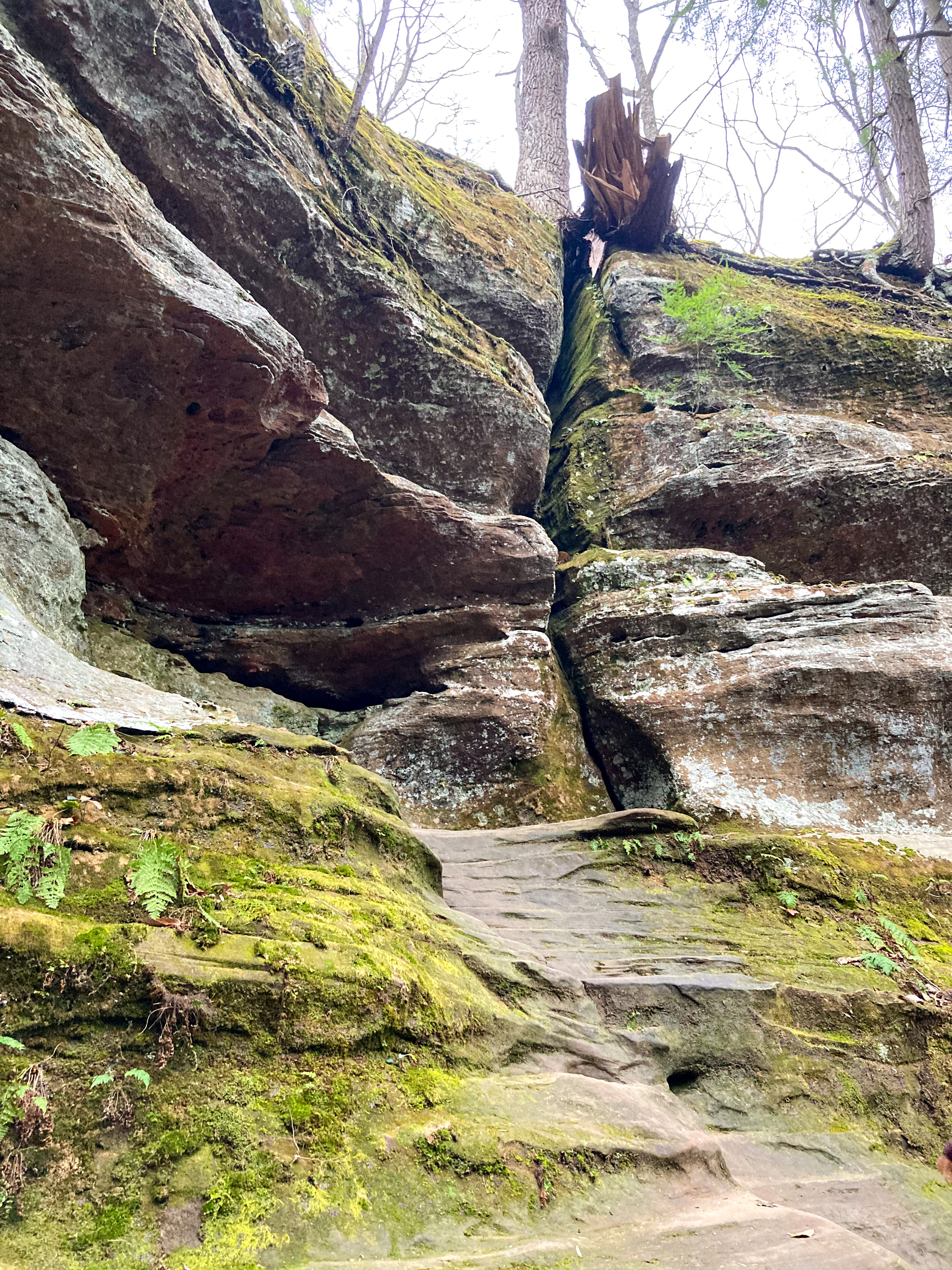 The photo is off two, very large rock formations with a split down the middle. Green moss grows on the rocks in the bottom of the photo and sporadically up the face of the rock. Trees are growing at the top.